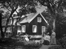Algusered Särö. Bild 2891.