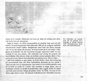 Artikel om Särö. Bild 11728.