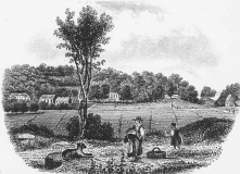 Teckning Särö. Bild 11623.