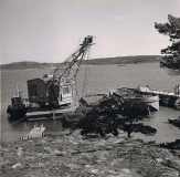 Särö båthamn. Bild 2823.