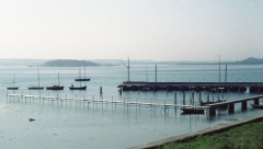 Särö båthamn. Bild 2839.