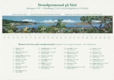 Växter Särö. Bild 1981.