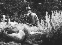 Tjänster Särö. Bild 2078.