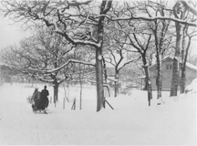 Fridhem Särö. Bild 2545.