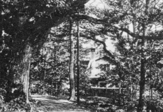 Furuhöjd Särö. Bild 10570.