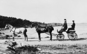 Hästtransport Särö. Bild 10889.