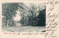 Inre viken Särö. Bild 10738.