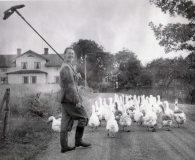 Gate Särö. Bild 3201.