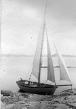 Krafft Särö. Bild 3548.