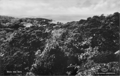 Nordanskog Särö. Bild 1134.