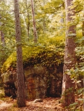 Nordanskog Särö. Bild 11770.