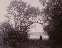 Nordanskog Särö. Bild 30170.