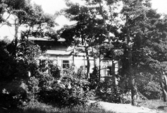 Flora Särö. Bild 10515.