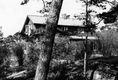 Flora Särö. Bild 10517.