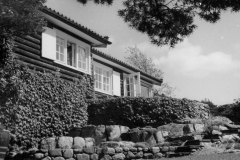 Maracaibo Särö. Bild 10448.