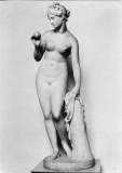 Venus Särö, Bild 10551.