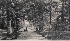 Platser Särö. Bild 10757.