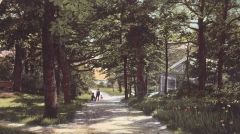 Platser Särö. Bild 10758b.
