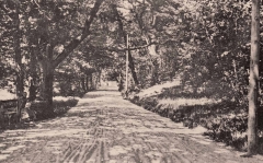 Platser Särö. Bild 10781.