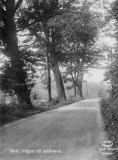 Platser Särö. Bild 1137.