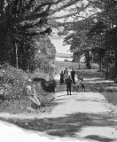 Platser Särö. Bild 1226.