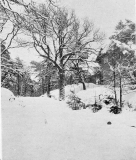 Platser Särö. Bild 1236.