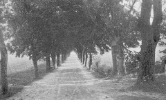 Platser Särö. Bild 1241.