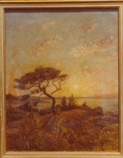 Solnedgång på Särö.