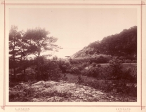 Strandparti Särö. Bild 1013.