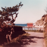 Strandparti Särö. Bild 10716.
