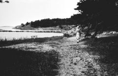 Strandparti Särö. Bild 2019.