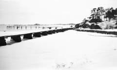 Strandparti Särö. Bild 2042.
