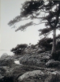 Strandpromenaden Särö. Bild 30175.