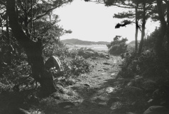 Västerskog Särö. Bild 2024_138