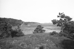 Västerskog Särö. Bild 2025_22