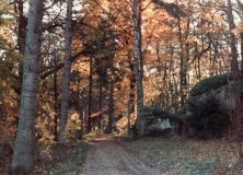 Västerskog Särö. Bild 10713.
