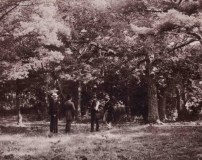 Västerskog Särö. Bild 10720.