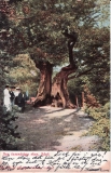 Västerskog Särö. Bild 10726.