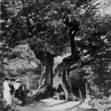 Västerskog Särö. Bild 10729.