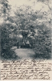 Västerskog Särö. Bild 10733.