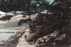 Västerskog Särö. Bild 10736.