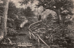 Västerskog Särö. Bild 10739.