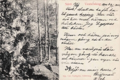 Västerskog Särö. Bild 10742.