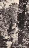 Västerskog Särö. Bild 10744.