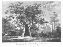 Västerskog Särö. Bild 11639.