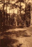 Västerskog Särö. Bild 30153.