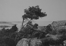 Västerskog Särö. Bild 30164.