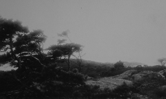 Västerskog Särö. Bild 30165.