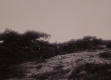 Västerskog Särö. Bild 30167.