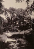 Västerskog Särö. Bild 30171.